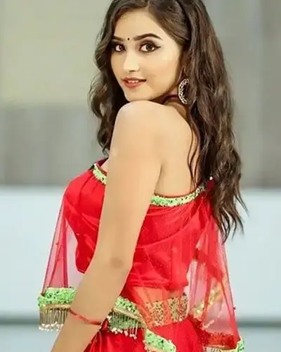 Escort In Vijayanagar